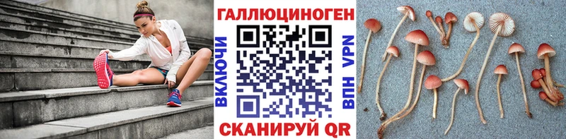 ОМГ ОМГ как зайти  Камень-на-Оби  Галлюциногенные грибы мухоморы 