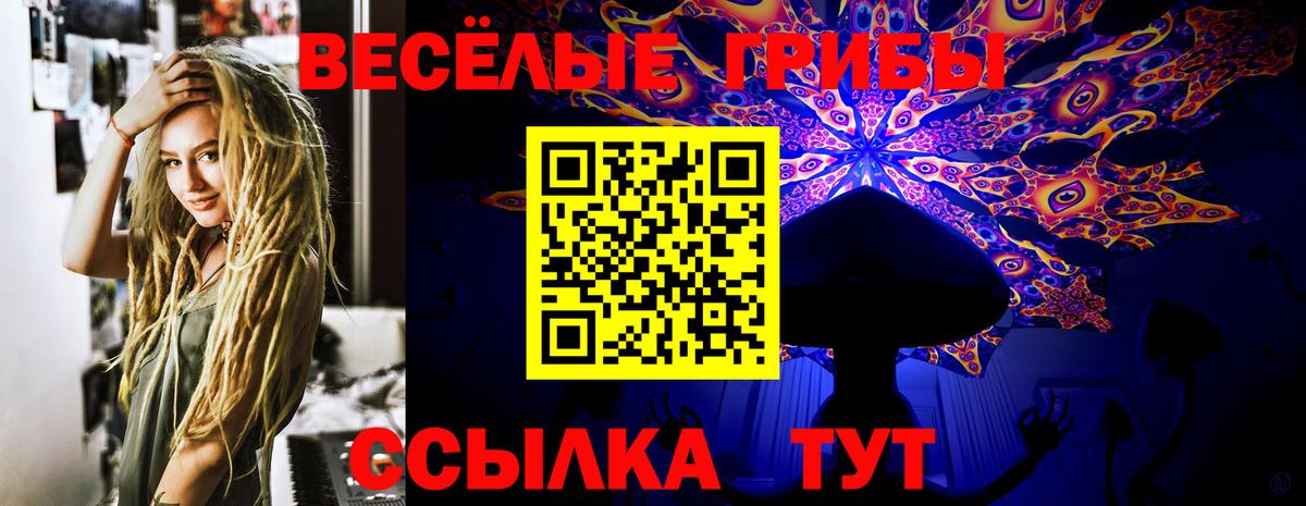 Камень-на-Оби  Псилоцибиновые грибы Magic Shrooms  Вход с VPN 